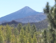 Bilder vom und um den Teide